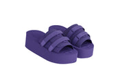 Technical Slides V111 - Grape Fruit